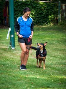 Canicross Entrainement